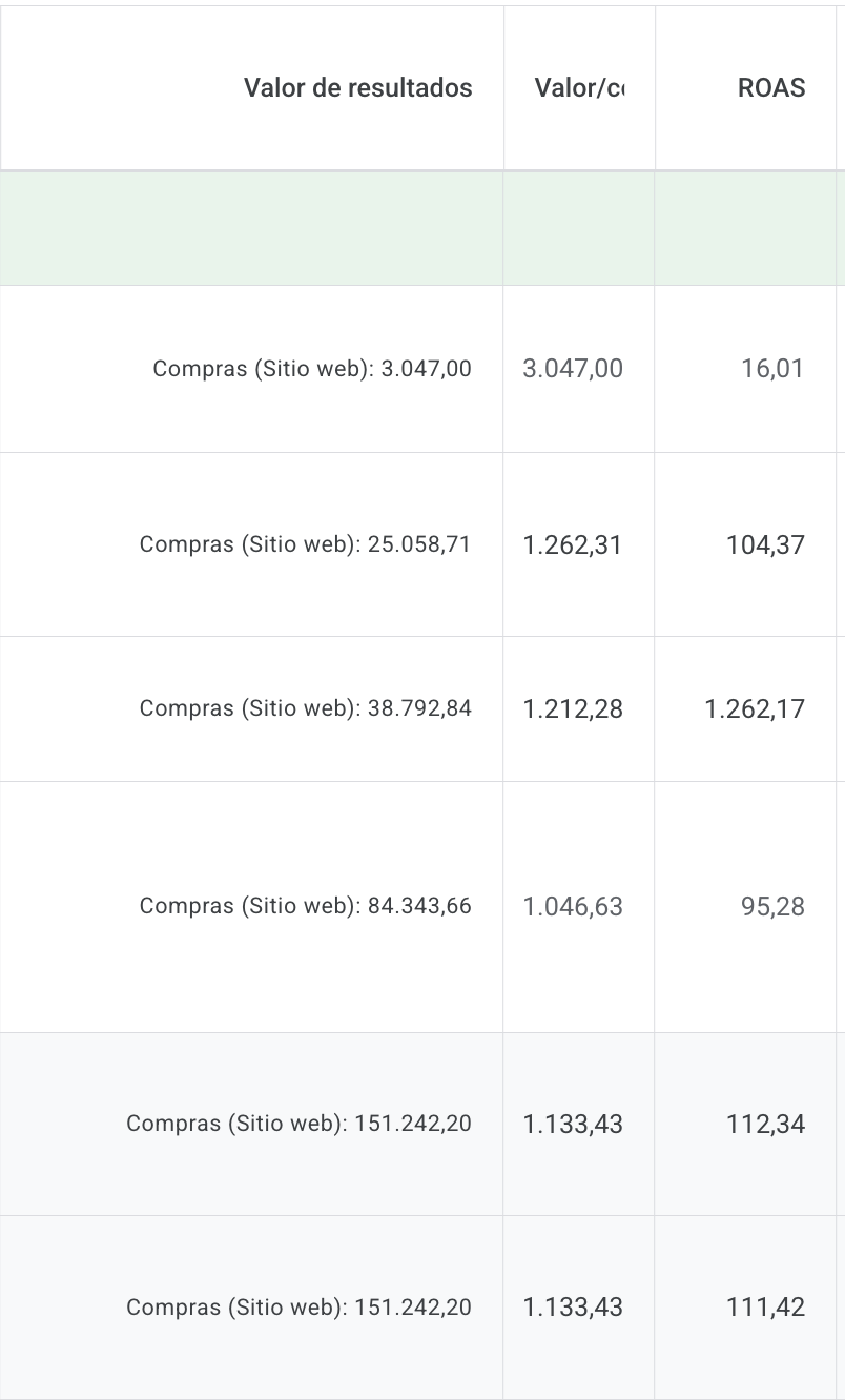 ROAS-caso-de-exito-google-ads